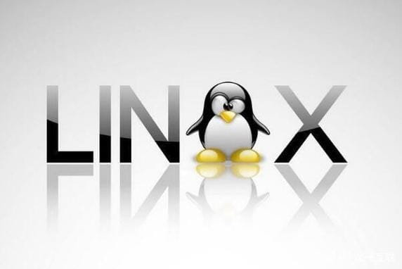 如何在 Linux 上检查开放的端口并关闭不需要的端口